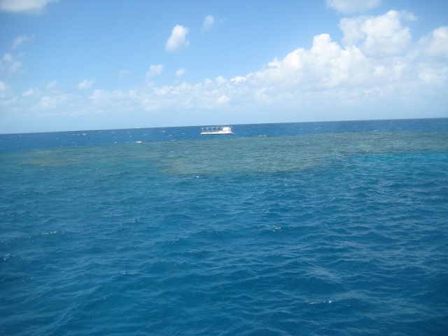 The Outer Reef