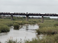 Train restaurant on the old railway bridge at Skukuza