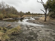 Unusually low water level at Lake Panic near Skukuza (iPhone shot)