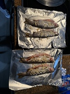 Trout from Milly's ready to be braaied