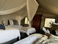 Inside tent #4 at Shindzela